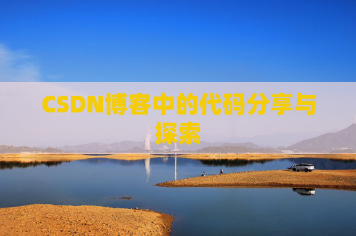 CSDN博客中的代码分享与探索